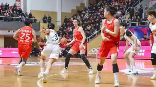 河南wcba阵容