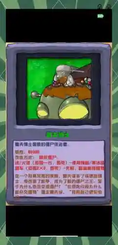 僵尸酸阵容