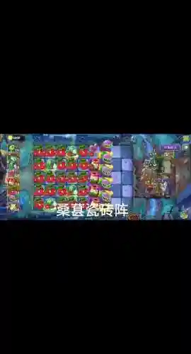 黑龙推荐阵容插图1