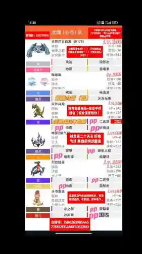 pokemmo双打阵容