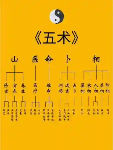 五术阵容插图1