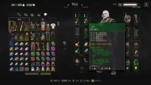 巫师3装备道具技能，巫师3装备道具技能怎么升级插图1