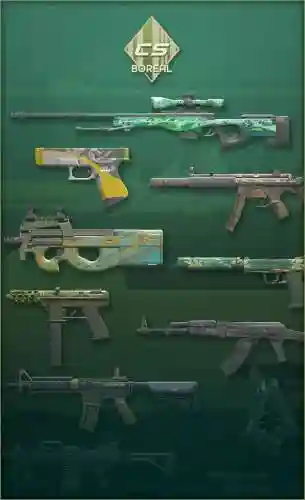 csol2武器全部是永久吗，csol2武器大全插图1