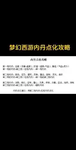 梦幻西游69宝宝内丹选择，69宝宝打什么内丹