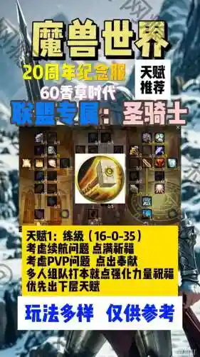 女圣骑士60级装备装备，女圣骑士100级刷图加点
