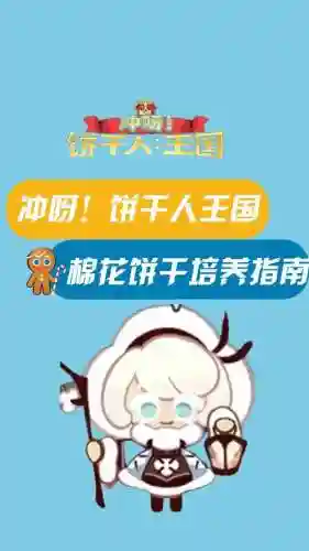 棉花饼干阵容搭配
