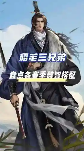 率土之滨魏国最新阵容搭配，率土之滨魏国家队有哪些