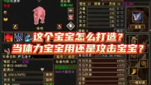 天龙八部手游峨眉外攻宝宝手动技能，天龙手游峨眉宝宝带什么技能书