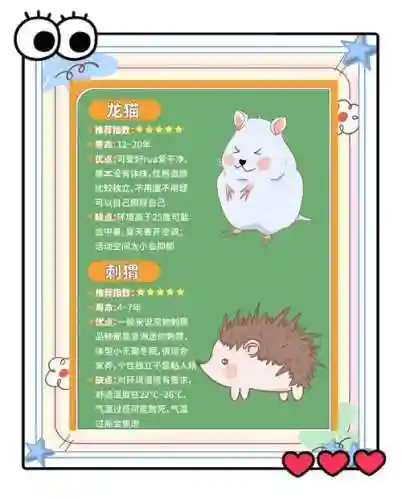 异能都市宠物阵容搭配图，都市异能宠文插图1