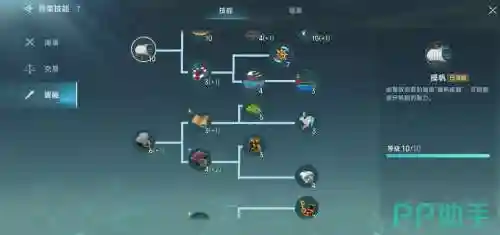 全民大航技能搭配，全民大航海时代