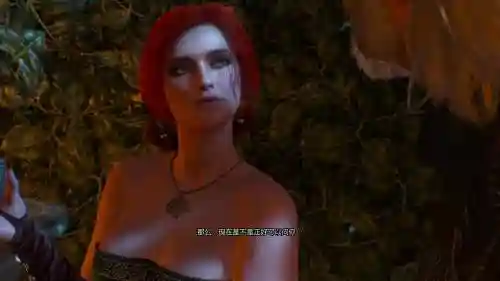 巫师3特莉丝攻略，巫师3特莉丝攻略完美