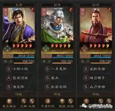 三洞察阵容