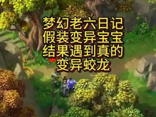 梦幻西游直播洗变异蛟龙，梦幻变异蛟龙进阶颜色