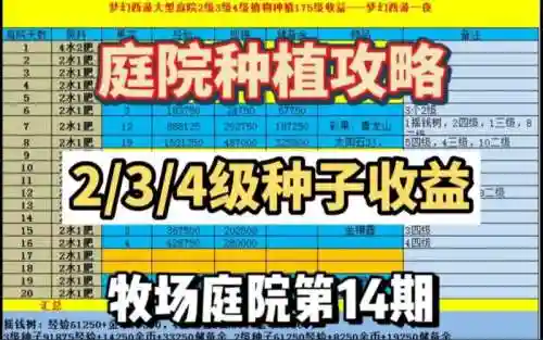 梦幻西游四级种子占几个空间，梦幻西游四级种子哪来的