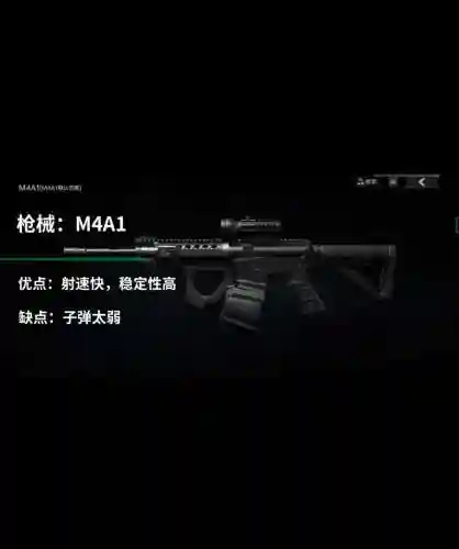 暗枪选哪个传说武器，暗枪装备搭配2021插图1