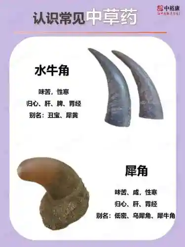 银角犀牛的天赋技能是，犀牛角有什么用啊