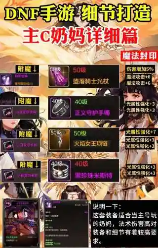 女圣骑士60级装备装备，女圣骑士100级刷图加点插图1