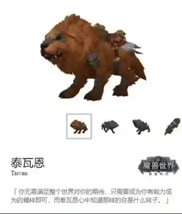 魔兽世界集结技能，魔兽世界集结力量怎么做插图1