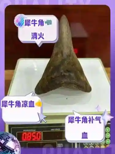 银角犀牛的天赋技能是，犀牛角有什么用啊插图1