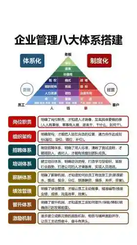 有限公司最强阵容搭配，有限公司厉害吗插图1
