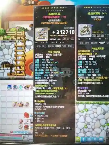 双弩精灵的辅助装备插图1