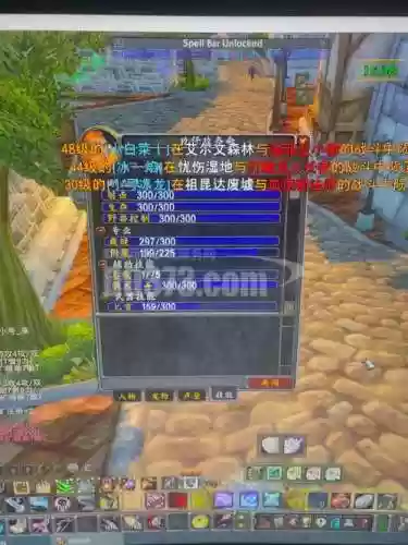 魔兽60年代猎人的装备，60猎人装备选择插图1