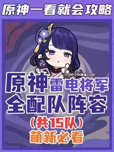 雷电将军5星阵容搭配推荐，雷电将军技能爆料