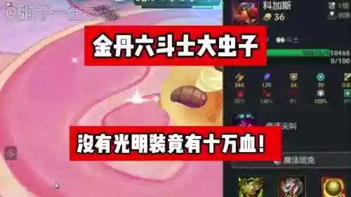 守望先锋大虫子阵容搭配，守望先锋大虫子阵容搭配最新